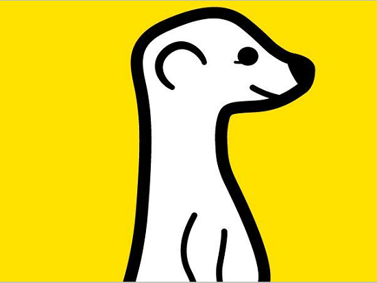 不和你玩了，Twitter封殺直播應用Meerkat