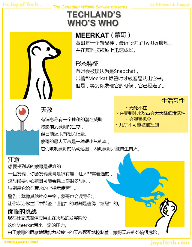 不和你玩了，Twitter封殺直播應用Meerkat