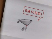 京東透露iPhone6S國行時間：9月11日！