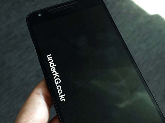 “熊貓機”！LG Nexus 5X諜照曝光