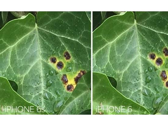 競爭真大！iPhone6s不再是移動拍照之王？