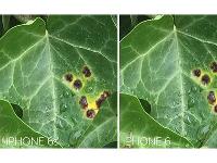 競(jìng)爭(zhēng)真大！iPhone6s不再是移動(dòng)拍照之王？