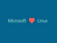 大陰謀？微軟Win 10暗藏神秘Linux子系統(tǒng)！