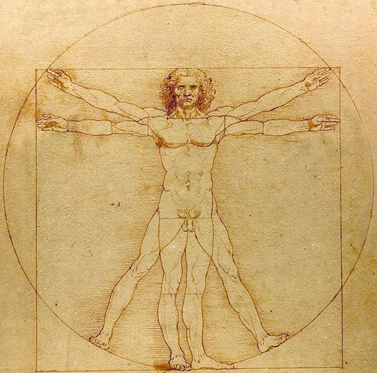 請(qǐng)珍惜身邊的男士，因?yàn)樗麄兒苡锌赡茉?00萬年后滅絕