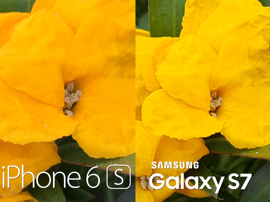視頻：機皇對決！三星S7拍照性能比iPhone 6s強太多了