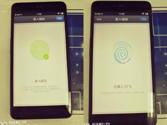錘子T3再曝諜照 為啥又長不一樣了？