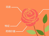 如何認出花名？微軟識花一鍵搞定
