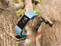 2016可穿戴設備第四季度出貨量：Fitbit制霸 小米緊追