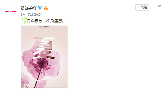 夏普手機即將復活？獨占IGZO屏幕是最大特點
