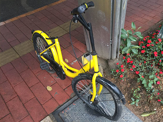 ofo小黃共享單車慘死百態 國民素質哪里尋？