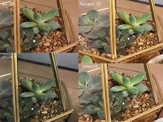 熱騰騰的機(jī)皇拍照對(duì)決！三星S8和iPhone 7你選誰(shuí)