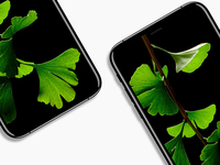 科客晚報：iPhone 8渲染圖超驚艷 小米6采用四曲面設(shè)計？