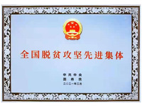 廣東電信扶貧辦榮獲“全國脫貧攻堅(jiān)先進(jìn)集體”稱號 